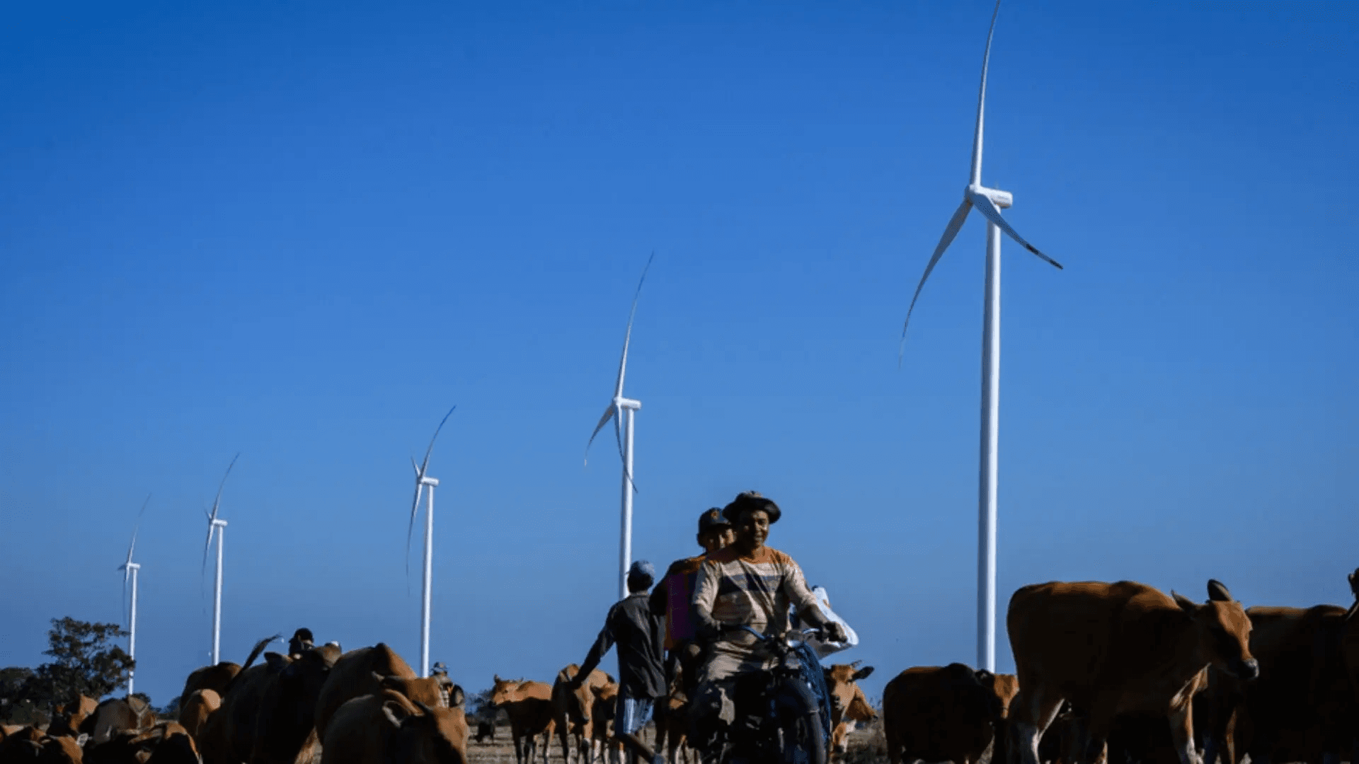 TEB.ID Kolaborasi untuk Transisi Energi Berkeadilan