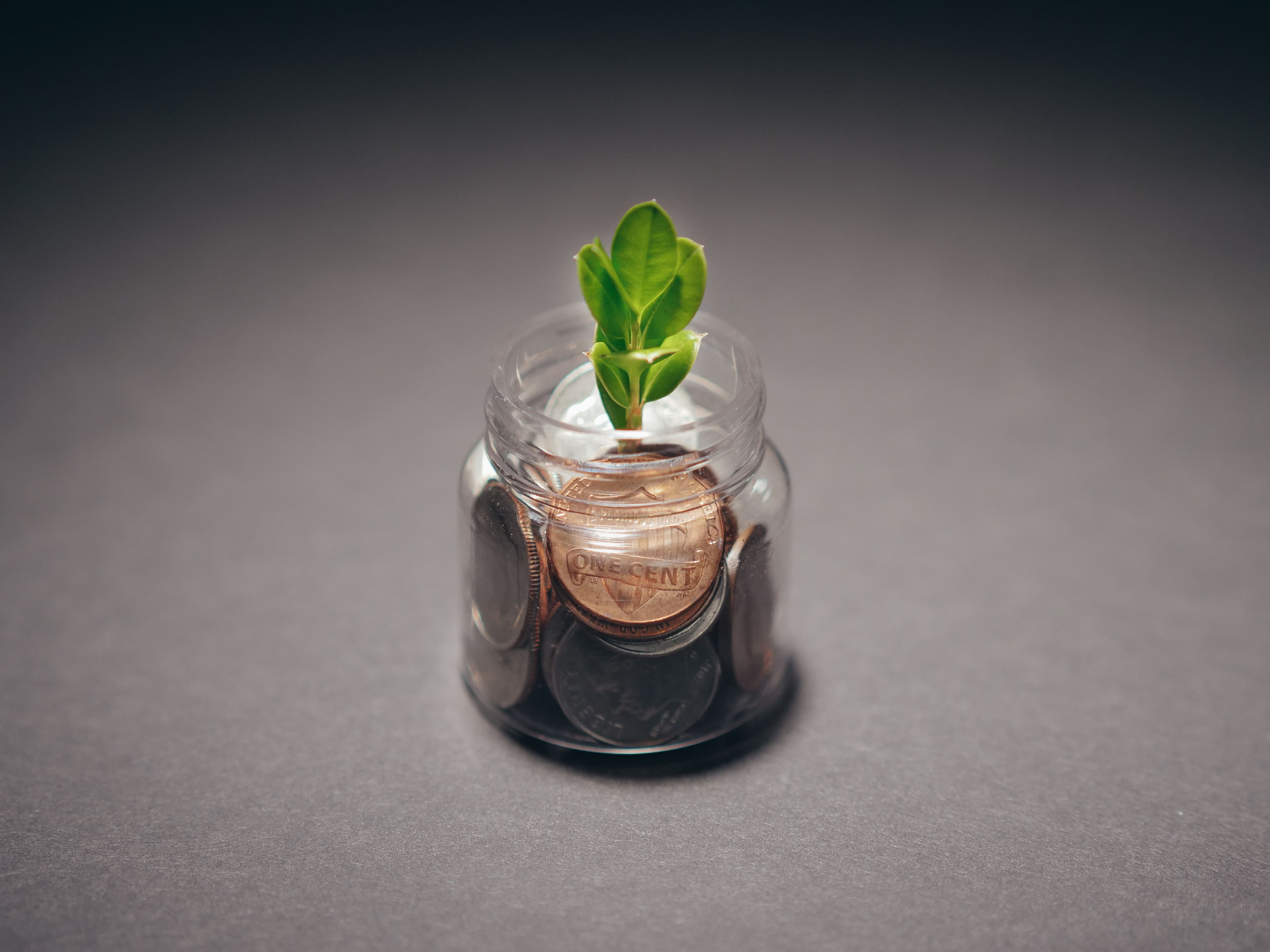 Mengapa Penerbitan Green Bond Masih Sepi di Era Transisi Energi?