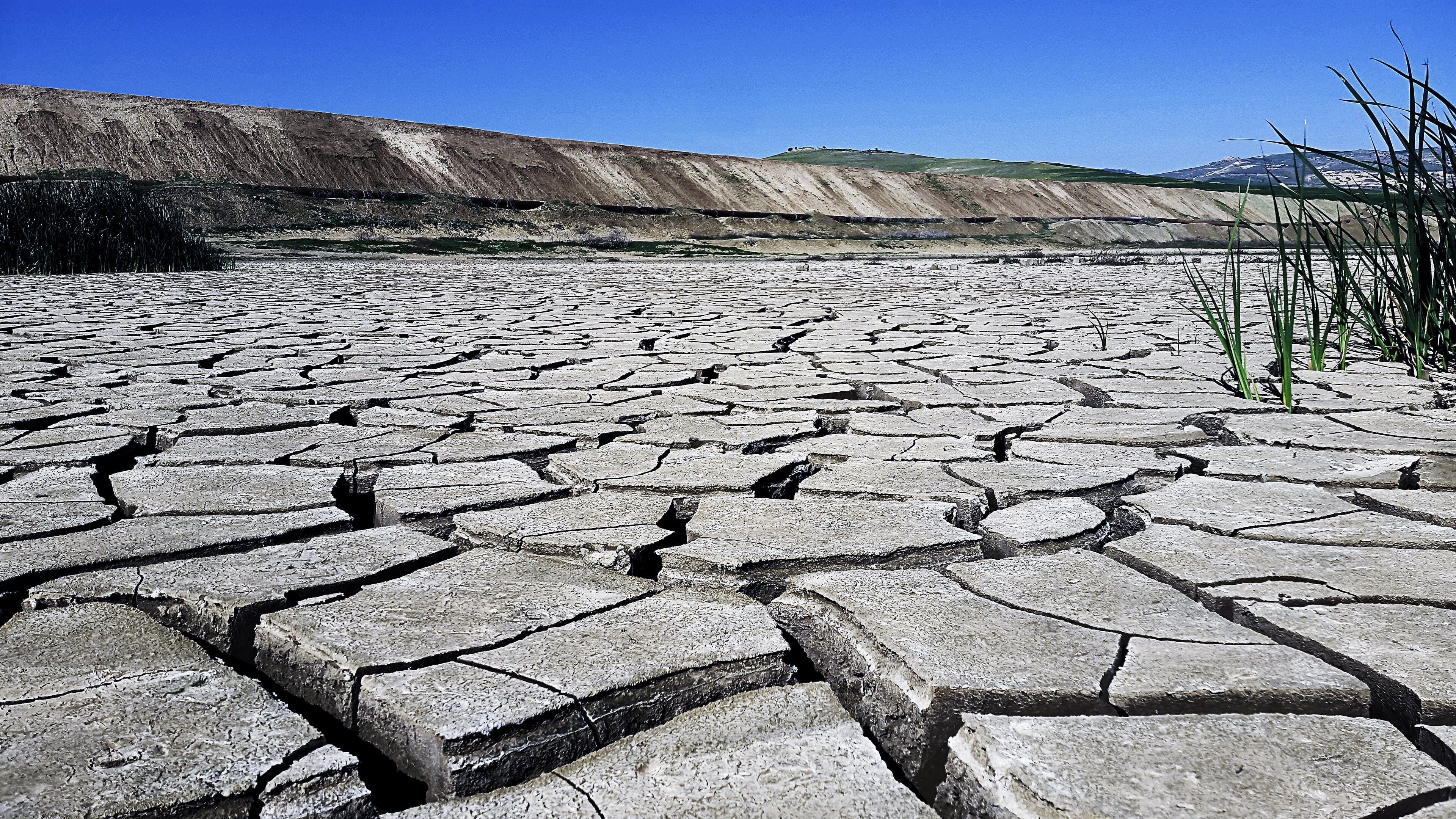 Bagaimana Hubungan El Nino dengan Panas Ekstrem dan Krisis Iklim?