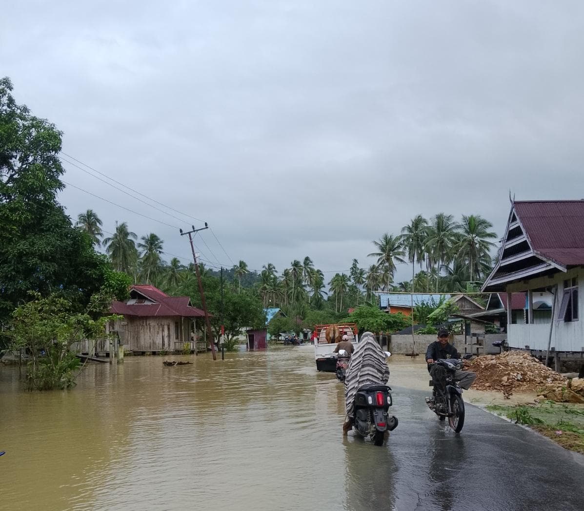 Di balik Baterai Hijau: Krisis Lingkungan dan Kesehatan Warga di Morowali
