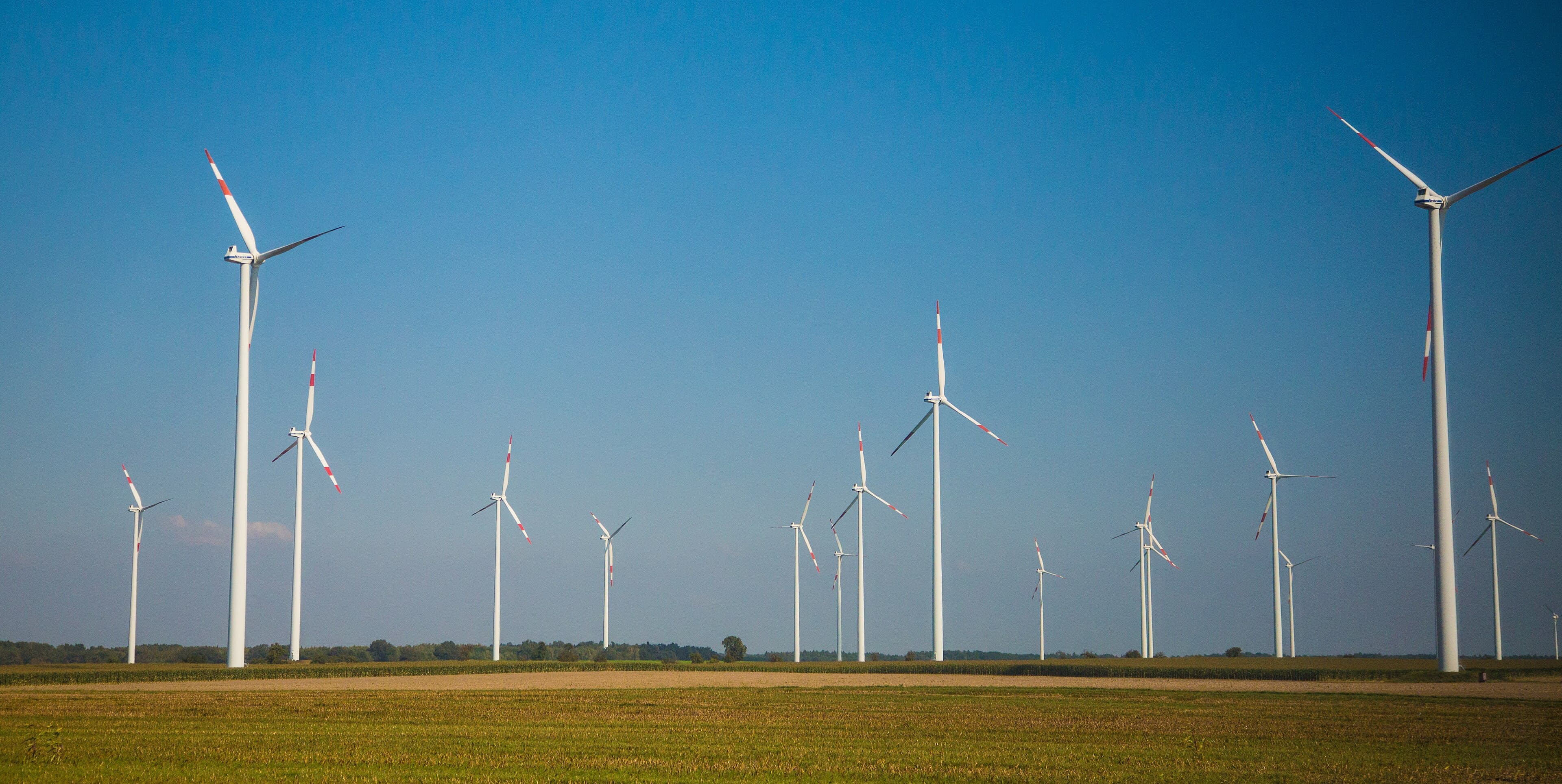 Why Joining The Global Renewable Energy Electrification Coalition Matters for Indonesia?